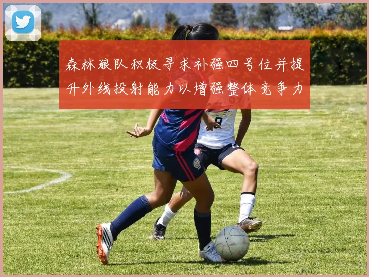 森林狼队积极寻求补强四号位并提升外线投射能力以增强整体竞争力